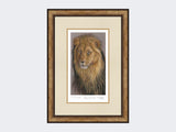 The-Lion-King-Print-Small-Light-Burr