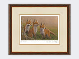 Three-Fox-Cubs-Print-Harvest-Twist