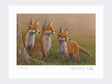 Three-Fox-Cubs-Print-Loose-Print-Only