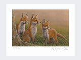 Three-Fox-Cubs-Print-Loose-Print-Only