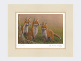 Three-Fox-Cubs-Print-Mounted-Print-Only