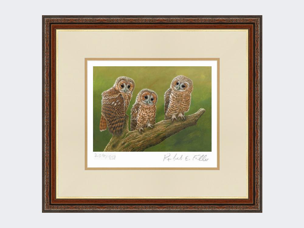 Three-Tawny-Owls-Print-Harvest-Twist