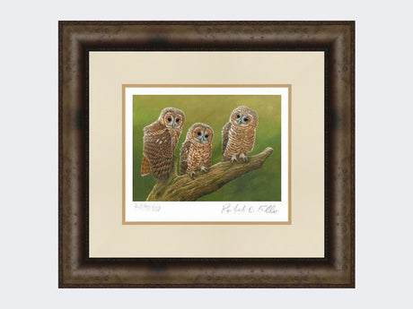 Three-Tawny-Owls-Print-Medium-Dark-Grey-Burr