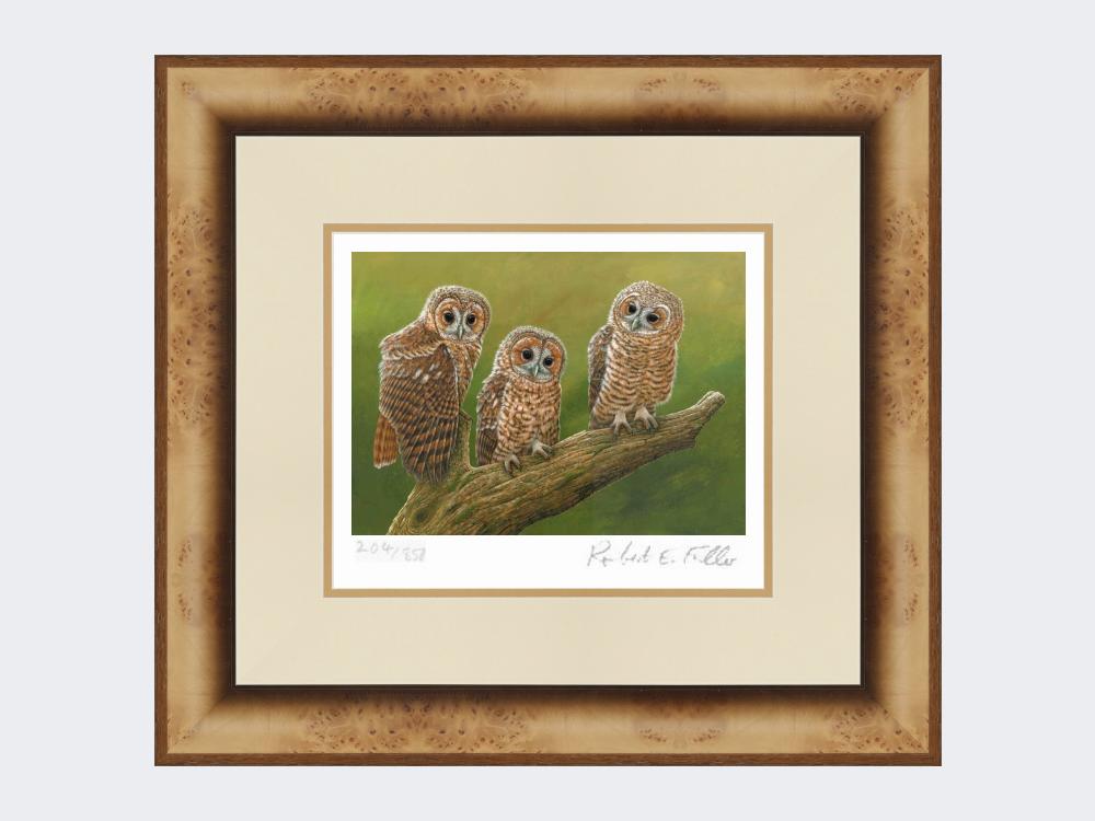 Three-Tawny-Owls-Print-Medium-Light-Burr