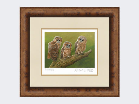 Three-Tawny-Owls-Print-Medium-Walnut-Burr