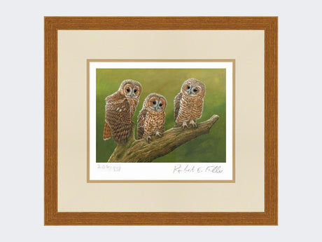 Three-Tawny-Owls-Print-Rustic-Country