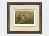 Three-Tawny-Owls-Print-Small-Dark-Grey-Burr