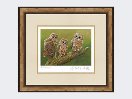 Three-Tawny-Owls-Print-Small-Light-Burr