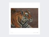 Tiger-of-Bandhavgarh-Loose-Print-Only (1)