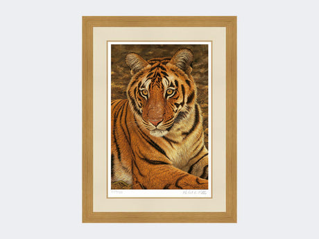 Tiger-of-Kanha-Print-Light-Oak