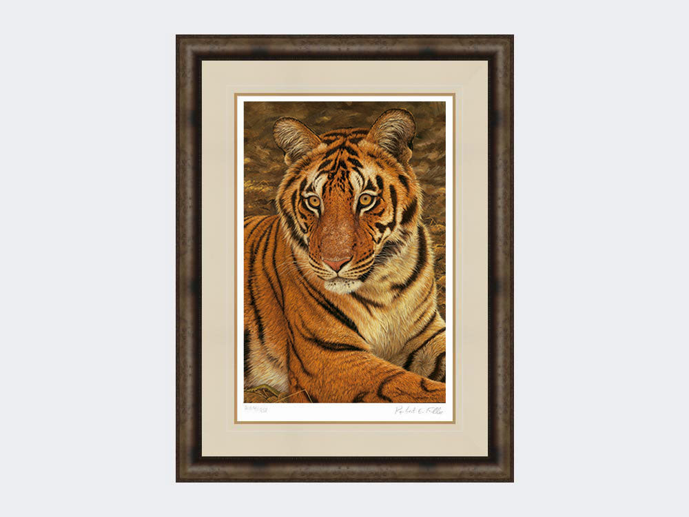 Tiger-of-Kanha-Print-Medium-Dark-Grey-Burr