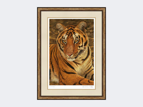 Tiger-of-Kanha-Print-Small-Light-Burr