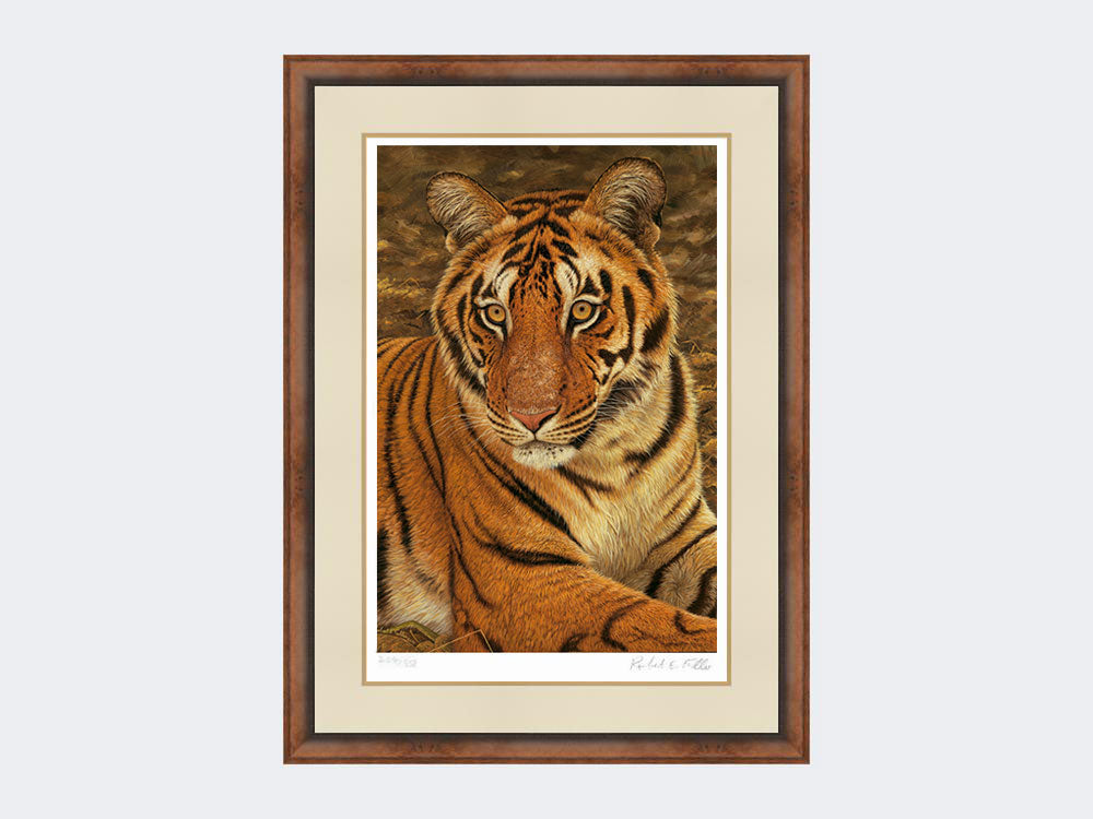 Tiger-of-Kanha-Print-Small-Walnut-Burr