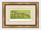 Tree-Sparrows-Print-Medium-Light-Burr