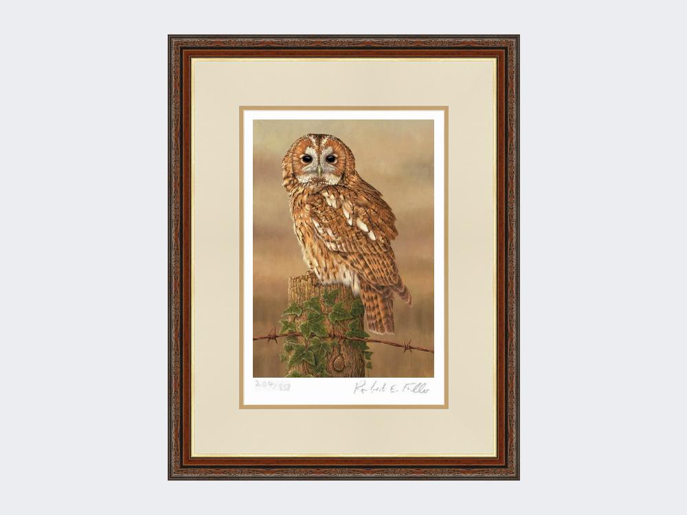 Watchful-Tawny-Owl-Print-Harvest-Twist