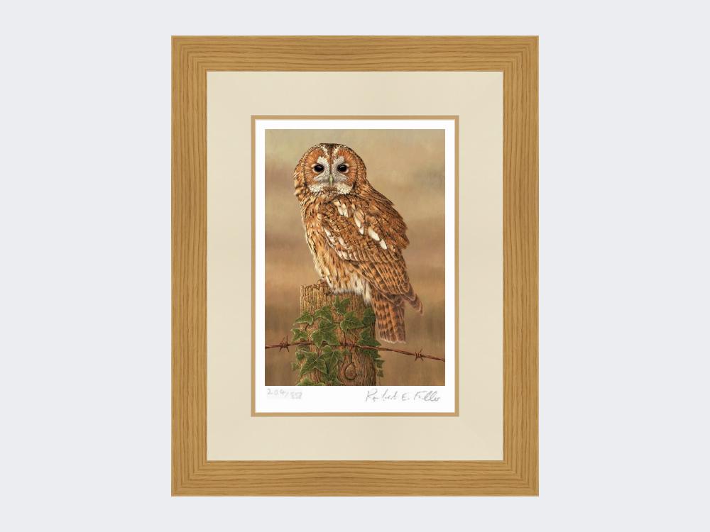 Watchful-Tawny-Owl-Print-Light-Oak