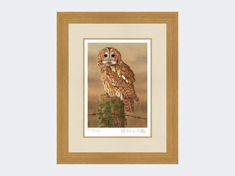 Watchful-Tawny-Owl-Print-Light-Oak