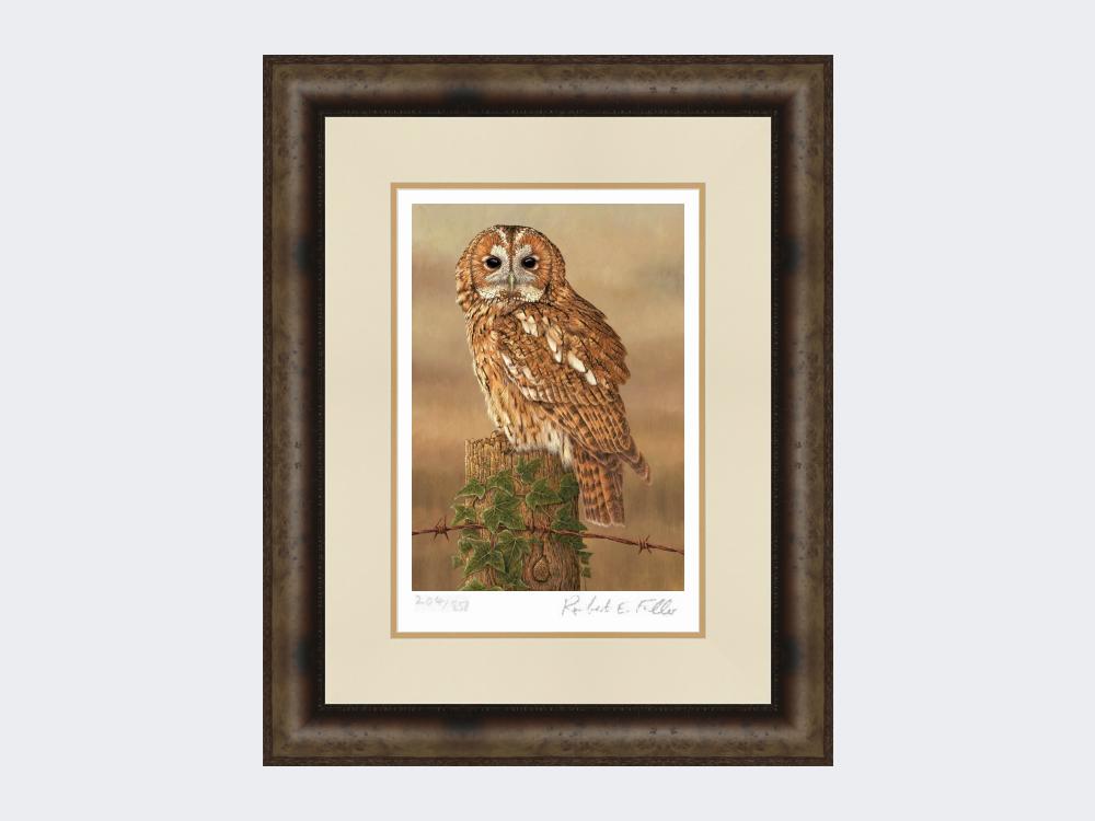 Watchful-Tawny-Owl-Print-Medium-Dark-Grey-Burr