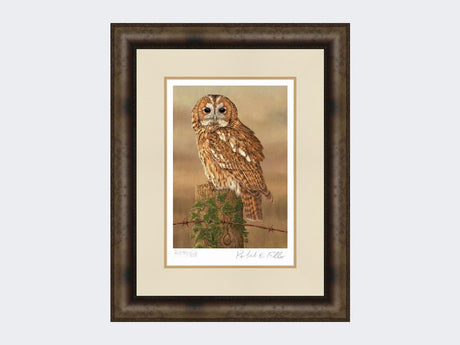 Watchful-Tawny-Owl-Print-Medium-Dark-Grey-Burr