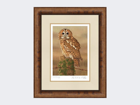 Watchful-Tawny-Owl-Print-Medium-Walnut-Burr