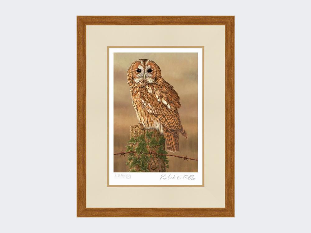 Watchful-Tawny-Owl-Print-Rustic-Country