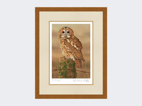 Watchful-Tawny-Owl-Print-Rustic-Country