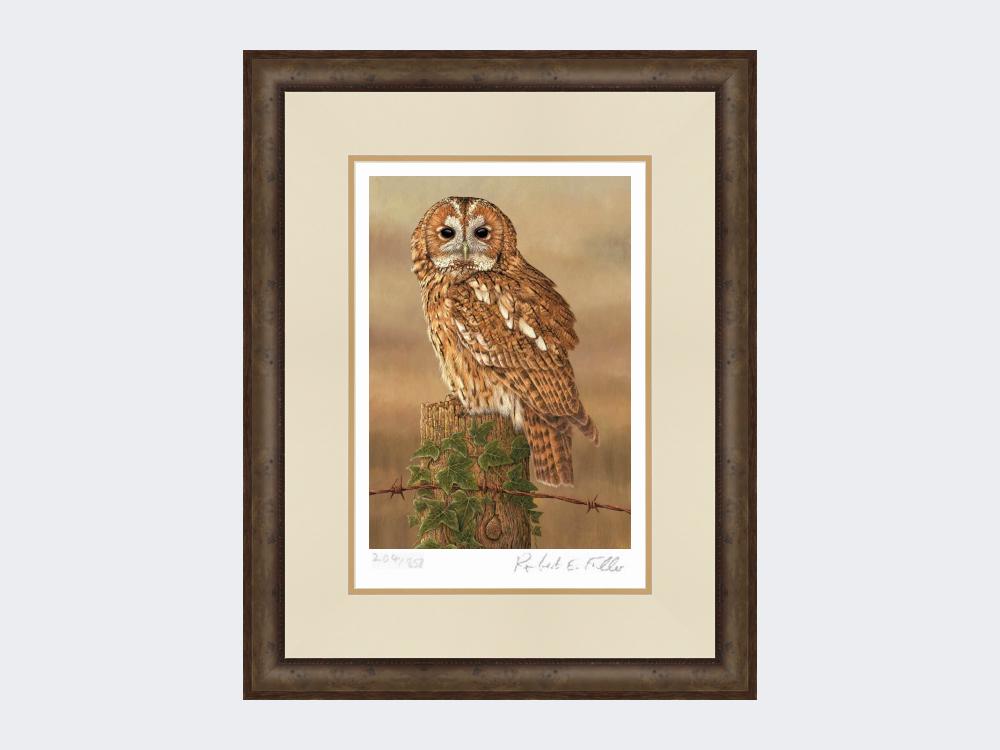 Watchful-Tawny-Owl-Print-Small-Dark-Grey-Burr