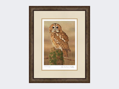 Watchful-Tawny-Owl-Print-Small-Dark-Grey-Burr