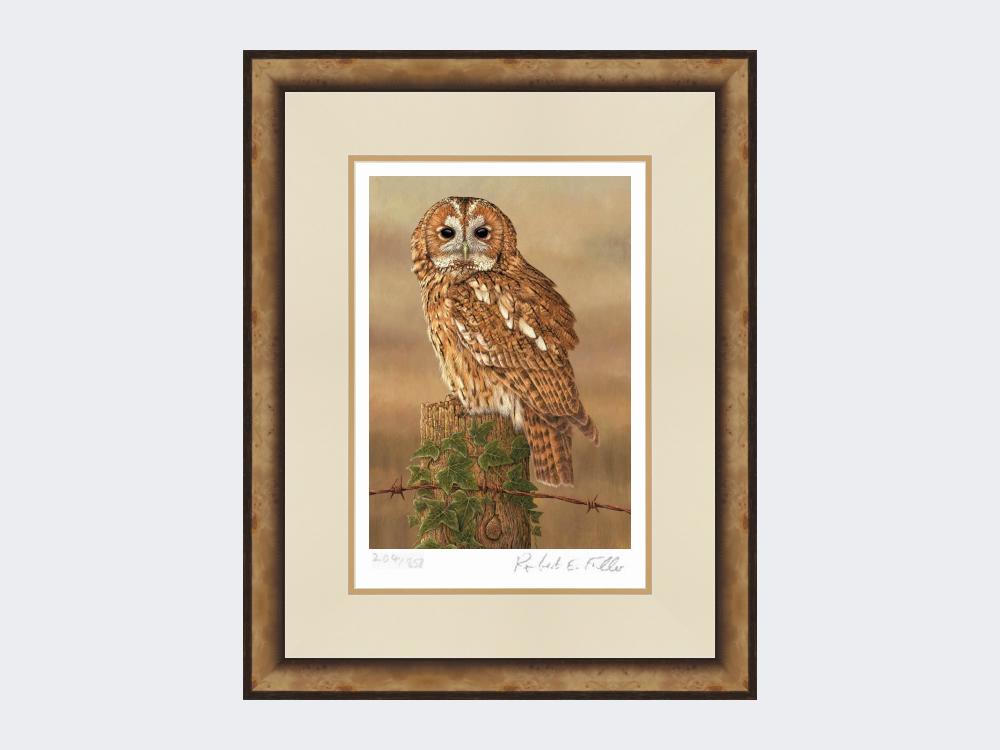 Watchful-Tawny-Owl-Print-Small-Light-Burr