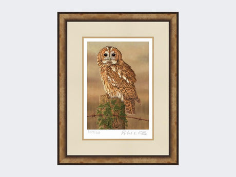 Watchful-Tawny-Owl-Print-Small-Light-Burr