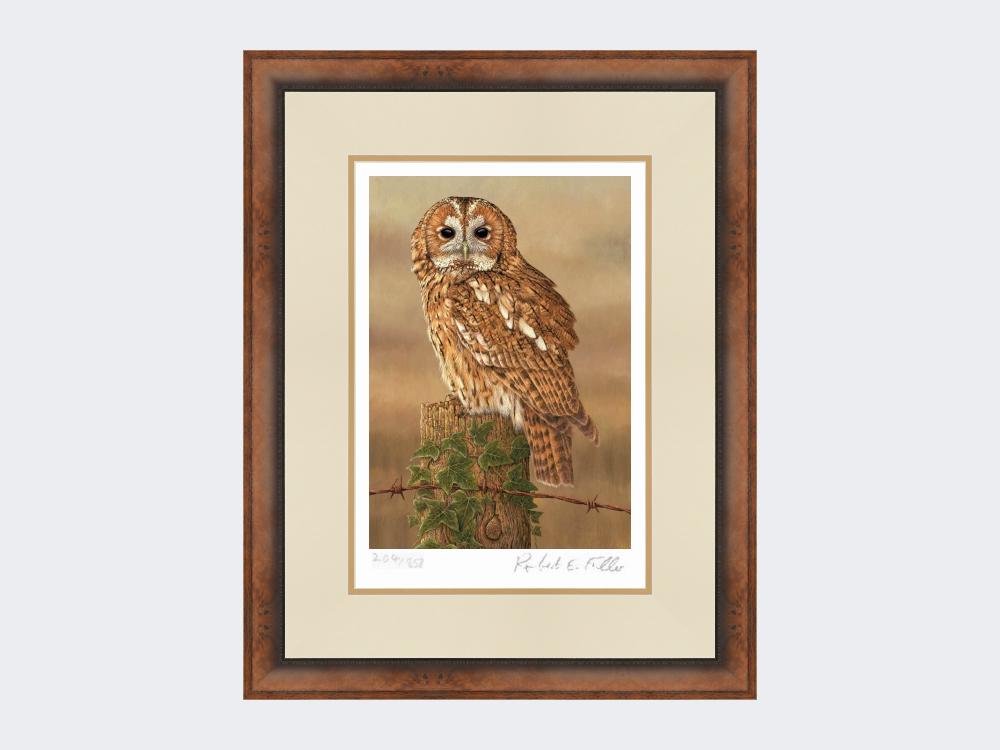 Watchful-Tawny-Owl-Print-Small-Walnut-Burr