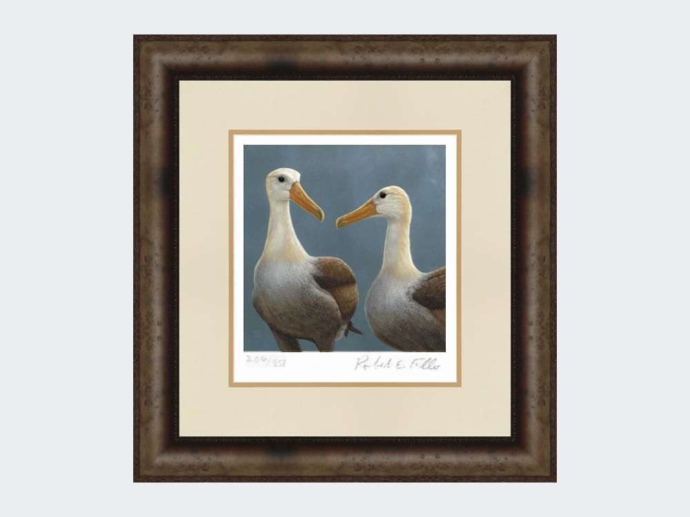 Waved-Albatross-Print-Medium-Dark-Grey-Burr