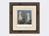 Waved-Albatross-Print-Medium-Dark-Grey-Burr