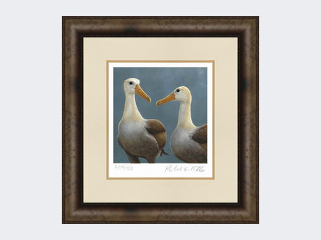 Waved-Albatross-Print-Medium-Dark-Grey-Burr