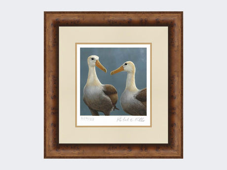 Waved-Albatross-Print-Medium-Walnut-Burr