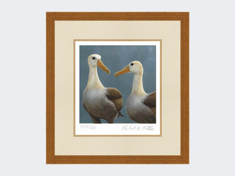 Waved-Albatross-Print-Rustic-Country