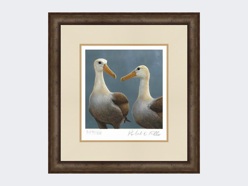 Waved-Albatross-Print-Small-Dark-Grey-Burr