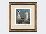 Waved-Albatross-Print-Small-Light-Burr