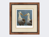 Waved-Albatross-Print-Small-Walnut-Burr