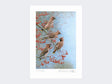 Waxwings-on-Rowan-Print-Loose-Print-Only