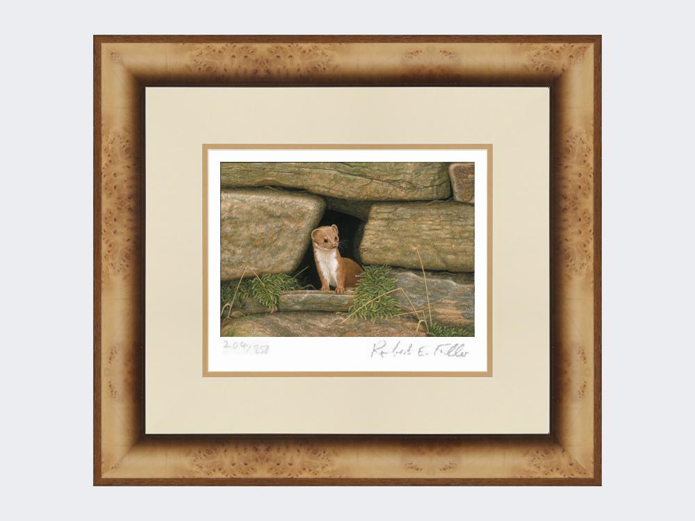 Weasel-Wall-Print-Medium-Light-Burr