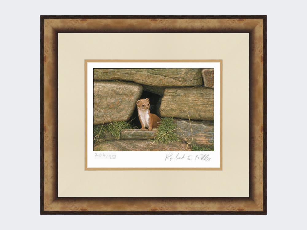 Weasel-Wall-Print-Small-Light-Burr