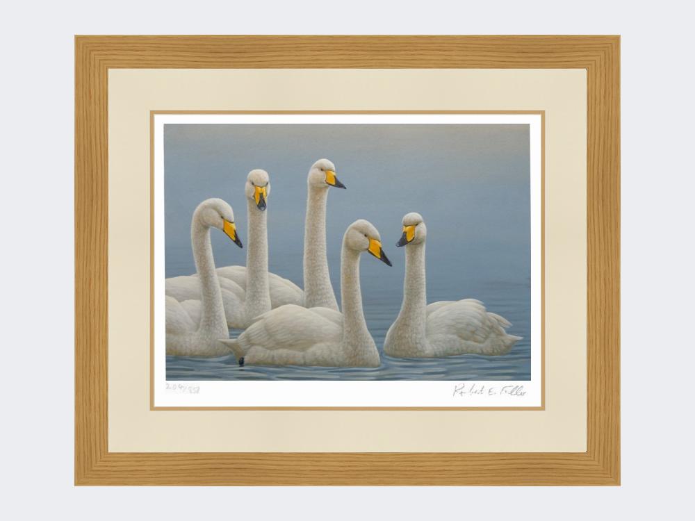 Whooper-Swans-Print-Light-Oak