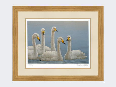 Whooper-Swans-Print-Light-Oak