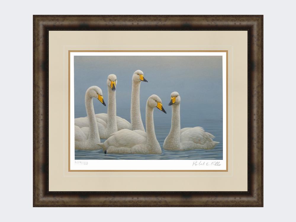 Whooper-Swans-Print-Medium-Dark-Grey-Burr