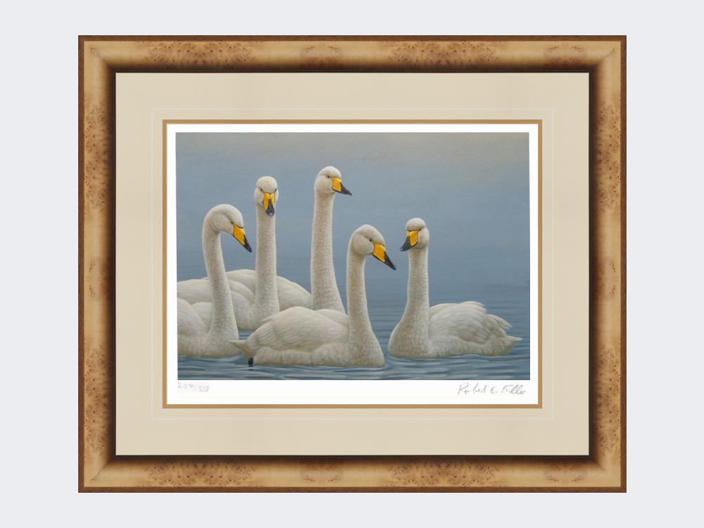 Whooper-Swans-Print-Medium-Light-Burr