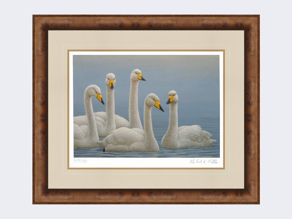 Whooper-Swans-Print-Medium-Walnut-Burr