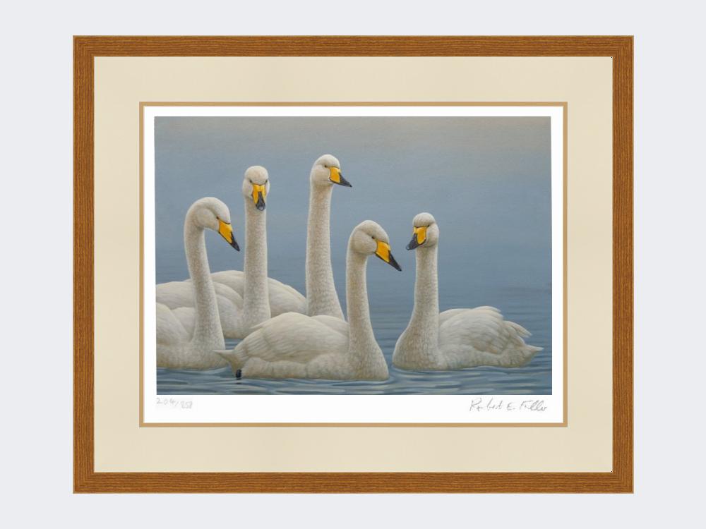 Whooper-Swans-Print-Rustic-Country