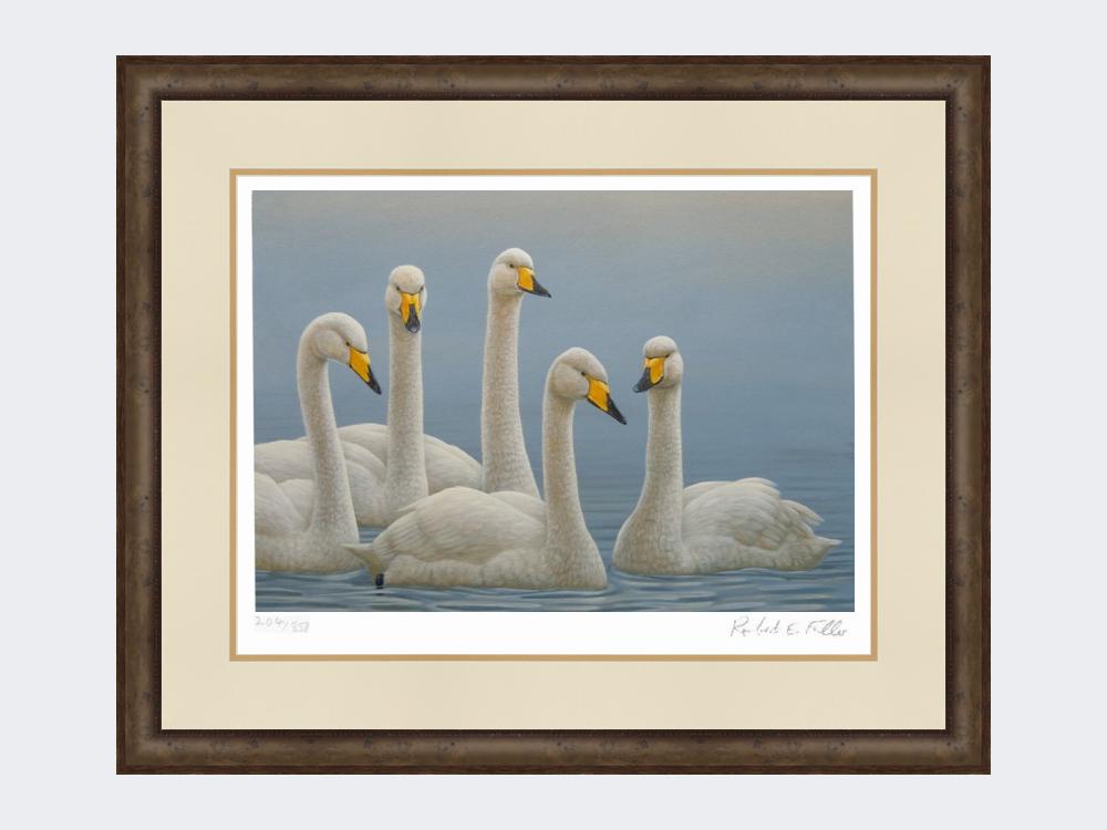 Whooper-Swans-Print-Small-Dark-Grey-Burr