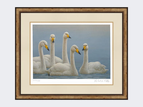 Whooper-Swans-Print-Small-Light-Burr